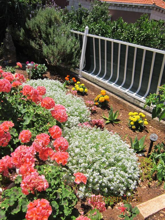 Guesthouse Korkyra Sun Korčula Kültér fotó